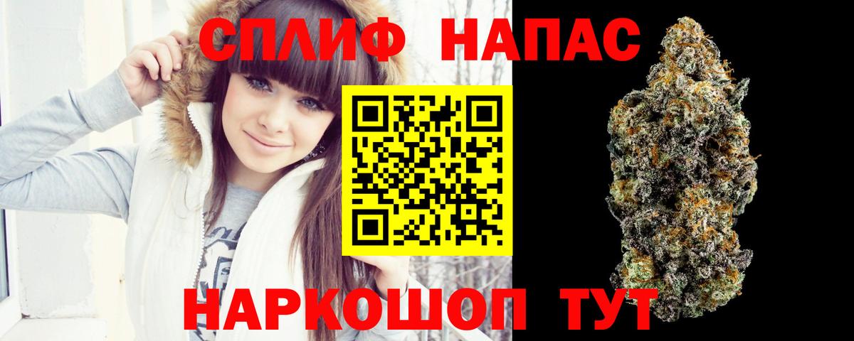 Златоуст  МАРИХУАНА тримм  Каннабис план  Вход с VPN 